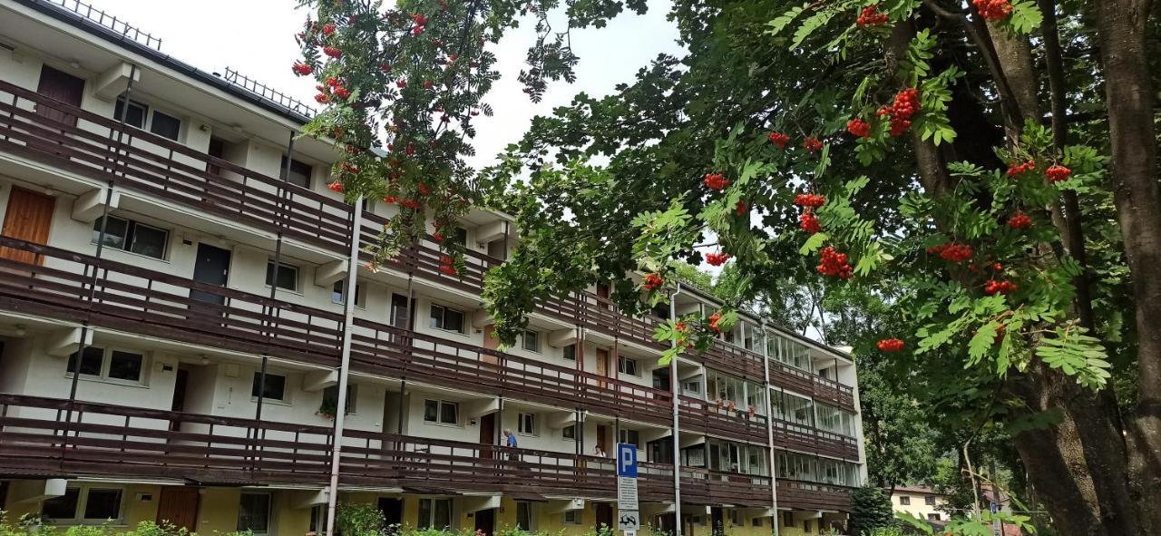 Retrospekcja - Apartament W Centrum Zakopane Ngoại thất bức ảnh